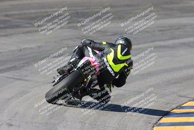 media/Feb-04-2024-SoCal Trackdays (Sun) [[91d6515b1d]]/4-Bowl Backside (11am)/